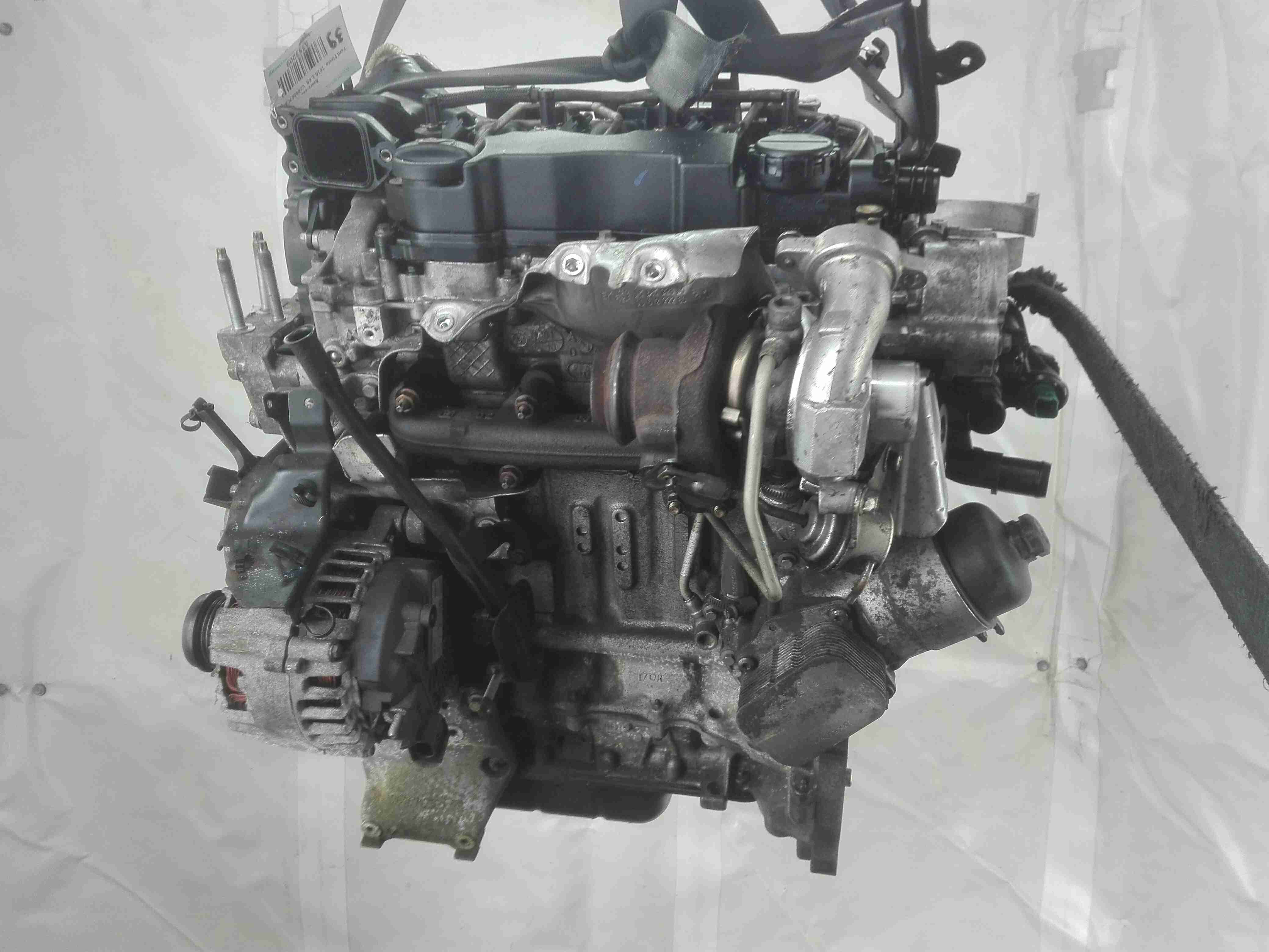 Двигатель (ДВС) Ford Fiesta 6 купить в Беларуси