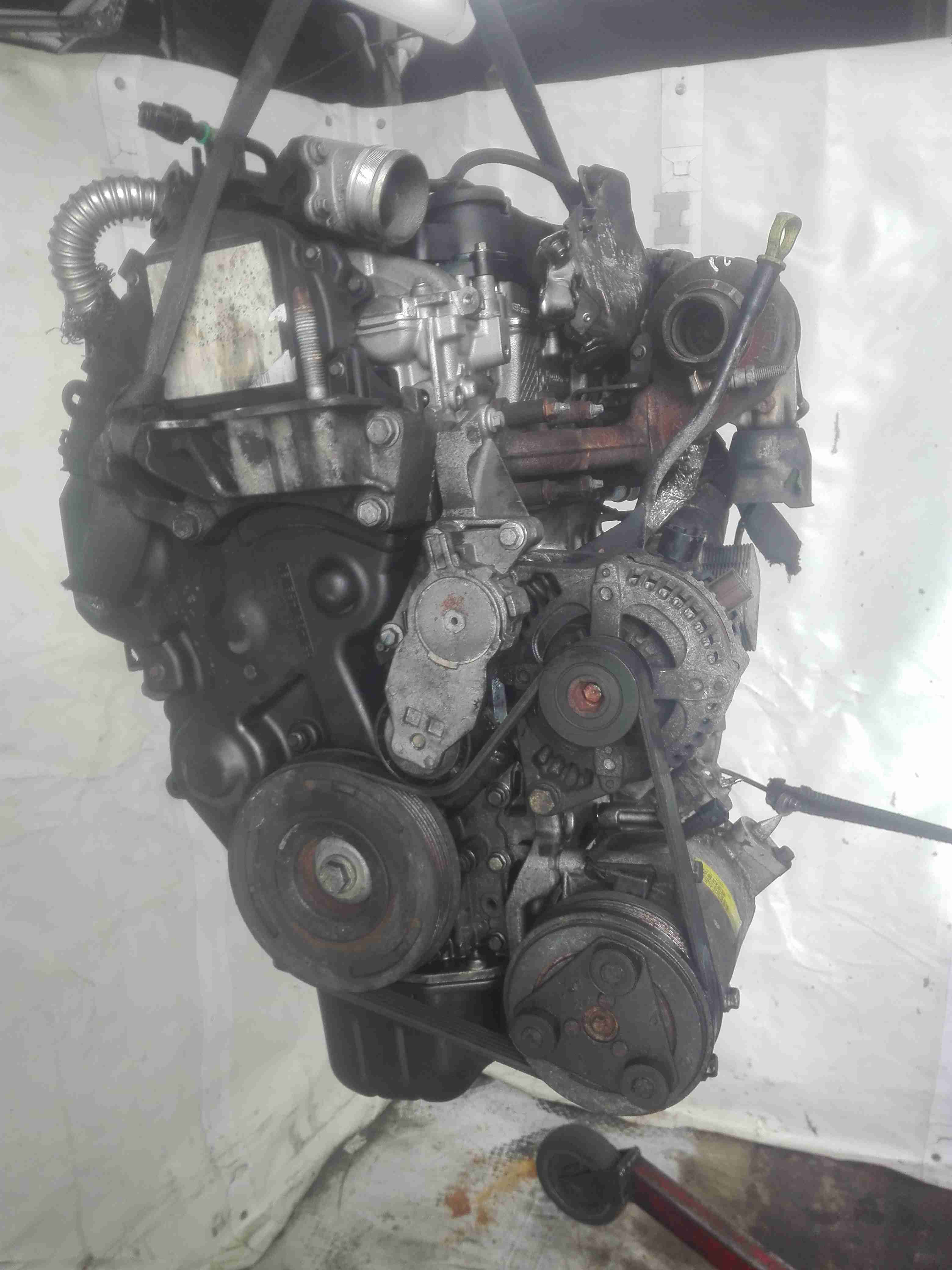 Двигатель (ДВС) Ford C-MAX 1 купить в Беларуси