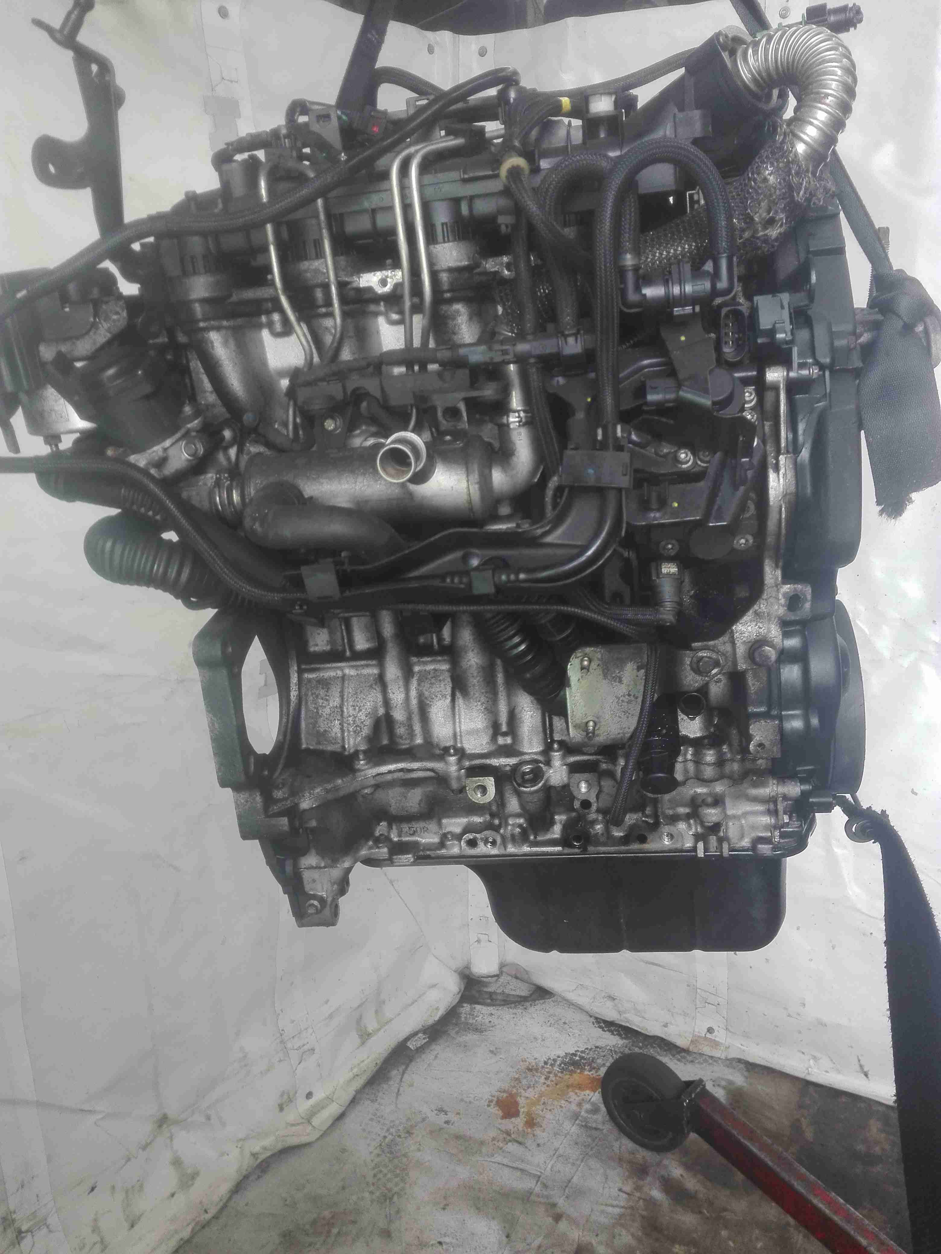 Двигатель (ДВС) Ford C-MAX 1 купить в Беларуси