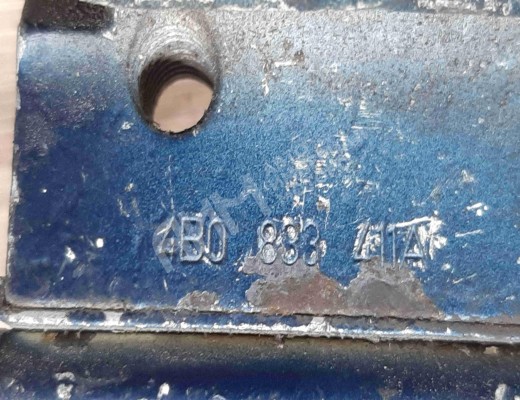 Петля двери задней левой Audi A6 C5 (4B) 1997-2001  Audi A6 A6 C5 (4B) 1997-2001