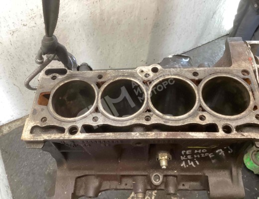 Блок цилиндров Renault Kangoo I 1997-2003  Renault Kangoo Kangoo I 1997-2003