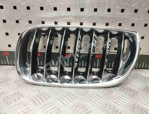 Решетка радиатора BMW X3 (E83) 2003-2010  BMW X3 X3 (E83) 2003-2010