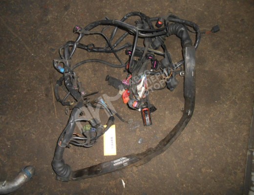 Проводка двигателя Audi A6 C5 (4B) 1997-2001  Audi A6 A6 C5 (4B) 1997-2001