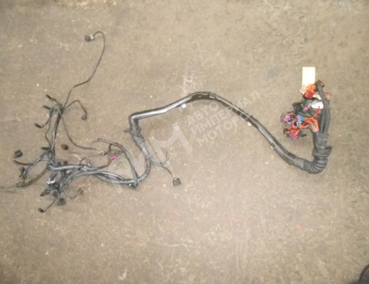 Проводка двигателя Volkswagen Passat B5+ (3B) 2000-2005 рестайлинг  Volkswagen Passat Passat B5+ (3B) 2000-2005 рестайлинг