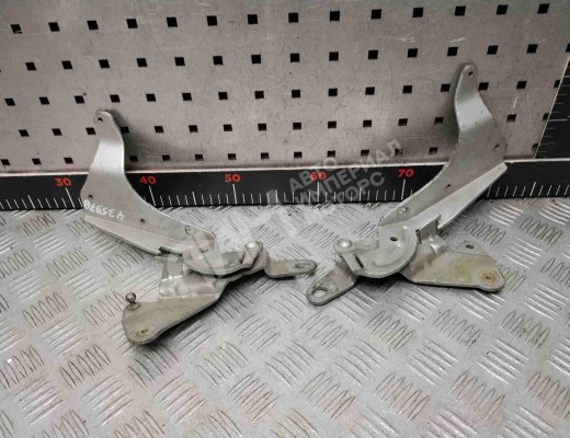 Петля капота Renault Espace IV 2002-2006  Renault Espace Espace IV 2002-2006