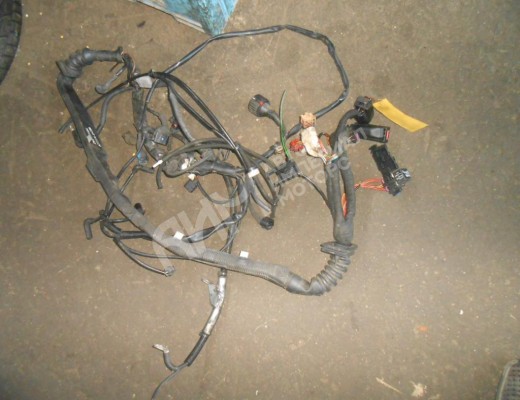 Проводка двигателя Volkswagen Passat B5 (3B) 1996-2000  Volkswagen Passat Passat B5 (3B) 1996-2000