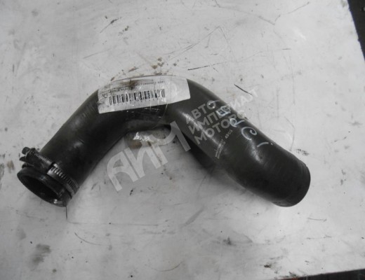 Патрубок радиатора Renault Laguna II (X74) 2001-2005  Renault Laguna Laguna II (X74) 2001-2005