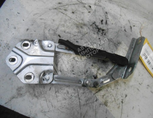 Петля капота правая Volkswagen Touran I (1T) 2003-2006  Volkswagen Touran Touran I (1T) 2003-2006