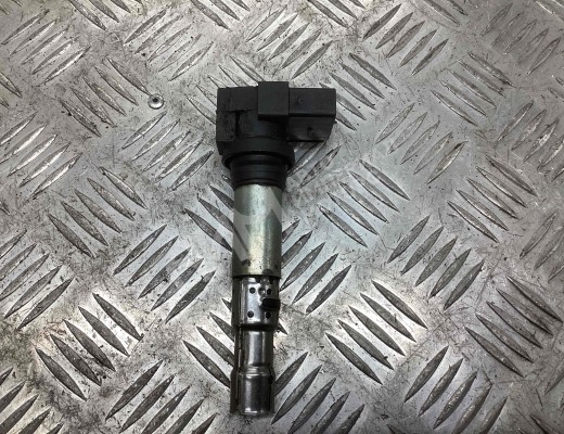 Катушка зажигания Volkswagen Golf IV (1J) 1997-2004  Volkswagen Golf Golf IV (1J) 1997-2004