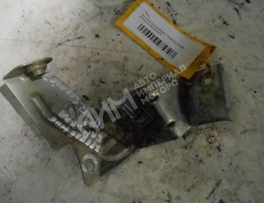 Кронштейн крепления бампера Renault Scenic II (JM) 2003-2006  Renault Scenic Scenic II (JM) 2003-2006