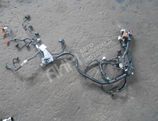 Проводка двигателя Ford Focus II 2005-2008  Ford Focus Focus II 2005-2008