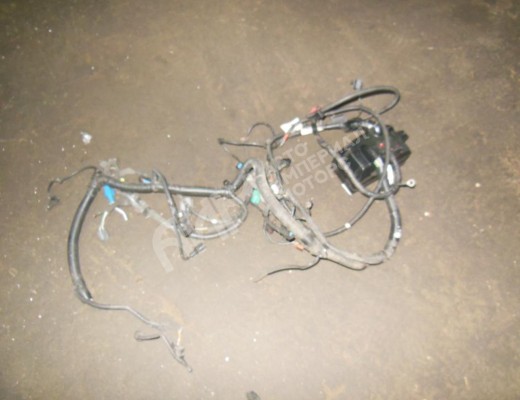 Проводка двигателя Ford Mondeo III 2000-2003  Ford Mondeo Mondeo III 2000-2003