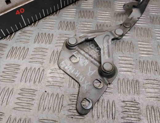 Петля капота правая Citroen Xantia (X1) 1992-1998  Citroen Xantia Xantia (X1) 1992-1998