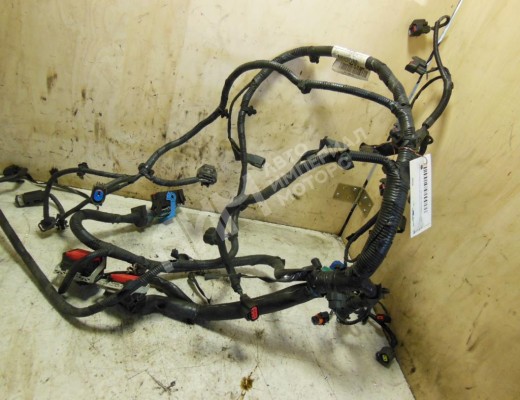 Проводка двигателя Ford Focus II 2005-2008  Ford Focus Focus II 2005-2008