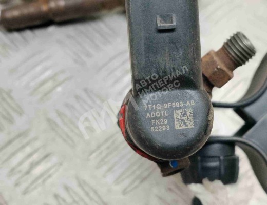 Форсунка Ford Transit Connect I 2002-2009  Ford Transit Connect Transit Connect I 2002-2009