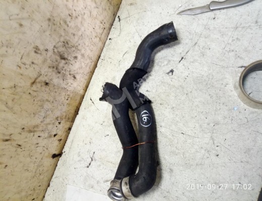 Патрубок радиатора Peugeot Expert I 1995-2006  Peugeot Expert Expert I 1995-2006