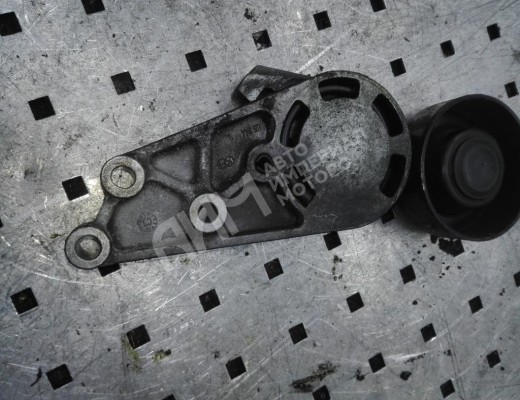 Натяжитель ремня генератора Audi A4 B6 (8EC, 8E5) 2000-2004  Audi A4 A4 B6 (8EC, 8E5) 2000-2004