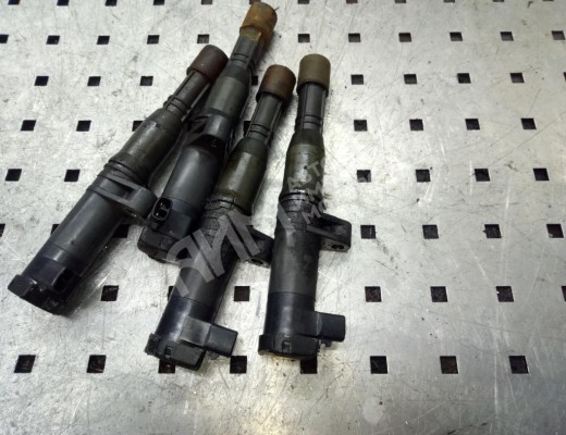 Катушка зажигания Renault Laguna II (X74) 2001-2005  Renault Laguna Laguna II (X74) 2001-2005