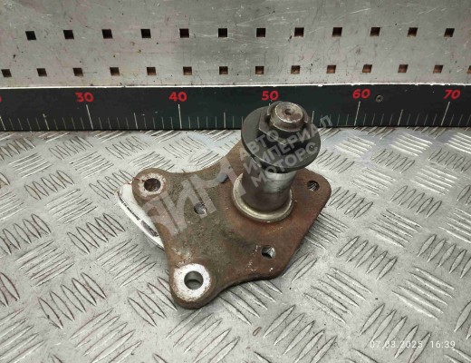 Цапфа задняя (ось ступицы) Ford T. Connect I 2009-2012 рестайлинг  Ford Transit Connect T. Connect I 2009-2012 рестайлинг