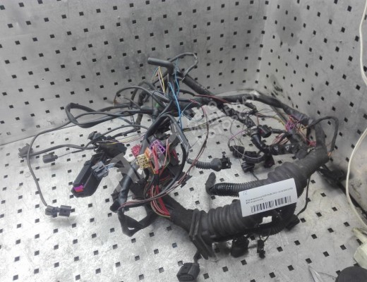 Проводка двигателя Audi A4 B6 (8EC, 8E5) 2000-2004  Audi A4 A4 B6 (8EC, 8E5) 2000-2004