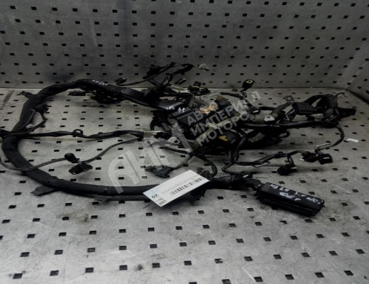 Проводка двигателя Mercedes E (W211) 2002-2006  Mercedes E E (W211) 2002-2006