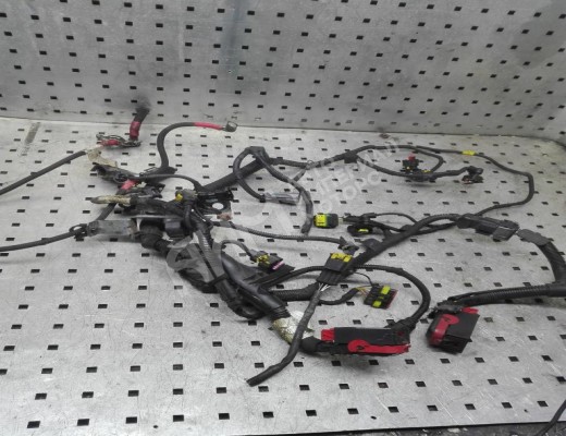 Проводка двигателя Fiat G. Punto (199) 2005-2011  Fiat Grande Punto G. Punto (199) 2005-2011