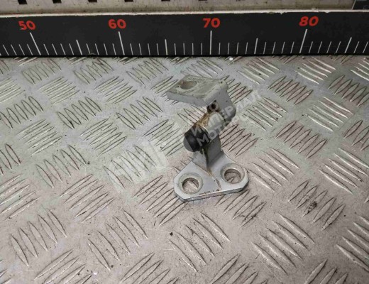 Петля двери задней правой Volkswagen Passat B6 (3C) 2005-2010  Volkswagen Passat Passat B6 (3C) 2005-2010