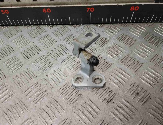 Петля двери задней левой Volkswagen Passat B6 (3C) 2005-2010  Volkswagen Passat Passat B6 (3C) 2005-2010