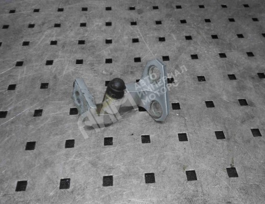 Петля двери задней левой Volkswagen Passat B6 (3C) 2005-2010  Volkswagen Passat Passat B6 (3C) 2005-2010