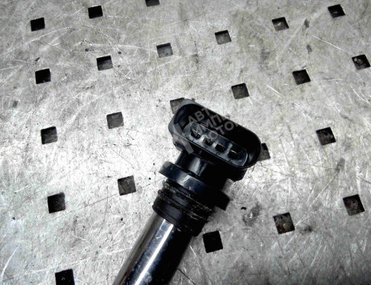 Катушка зажигания Volkswagen Polo IV (9N) 2001-2005  Volkswagen Polo Polo IV (9N) 2001-2005