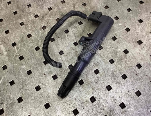 Катушка зажигания Renault Megane II 2002-2006  Renault Megane Megane II 2002-2006