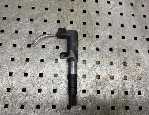 Катушка зажигания Renault Scenic II (JM) 2003-2006  Renault Scenic Scenic II (JM) 2003-2006