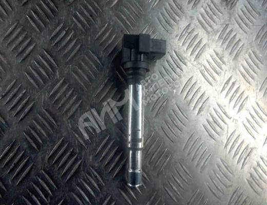 Катушка зажигания Volkswagen Golf IV (1J) 1997-2004  Volkswagen Golf Golf IV (1J) 1997-2004