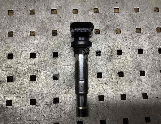 Катушка зажигания Volkswagen Golf IV (1J) 1997-2004  Volkswagen Golf Golf IV (1J) 1997-2004