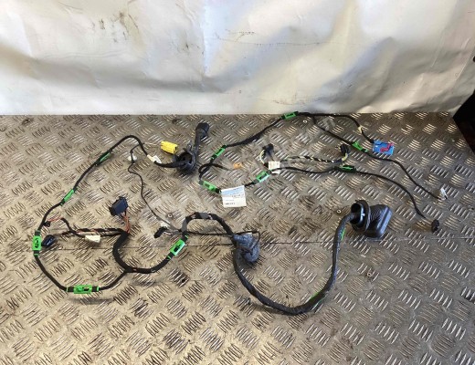 Проводка двери передней правой Audi A6 C6 (4F) 2004-2008  Audi A6 A6 C6 (4F) 2004-2008