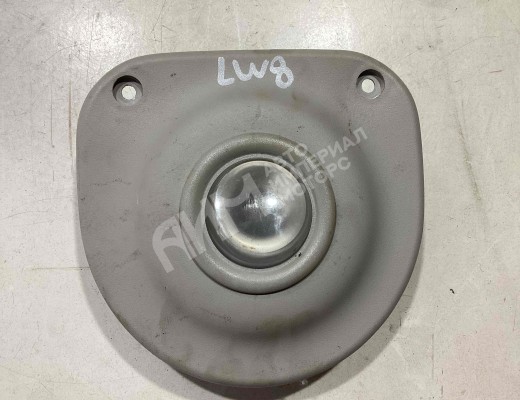 Фонарь салона (плафон) Iveco Stralis I 2002-2012  Iveco Stralis Stralis I 2002-2012