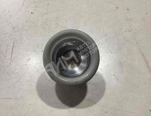 Фонарь салона (плафон) Iveco Stralis I 2002-2012  Iveco Stralis Stralis I 2002-2012