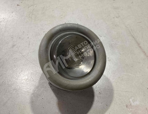 Фонарь салона (плафон) Iveco Stralis I 2002-2012  Iveco Stralis Stralis I 2002-2012