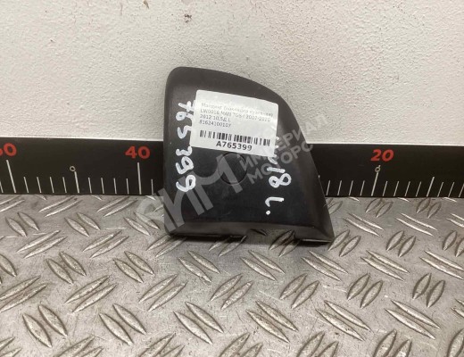 Молдинг (накладка кузовная) MAN TGS I 2007-2020  MAN TGS TGS I 2007-2020