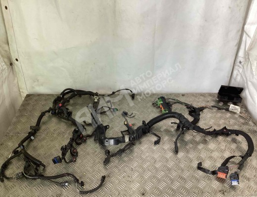 Проводка двигателя Peugeot Partner I 1996-2008  Peugeot Partner Partner I 1996-2008