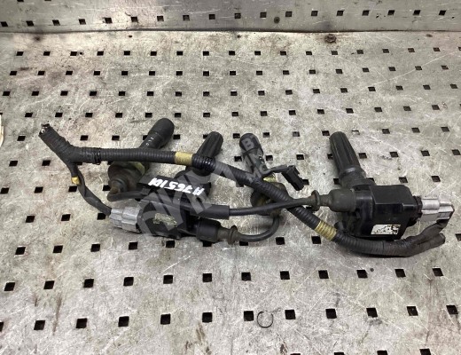 Катушка зажигания Hyundai Santa Fe I (SM) 2000-2006  Hyundai Santa Fe Santa Fe I (SM) 2000-2006