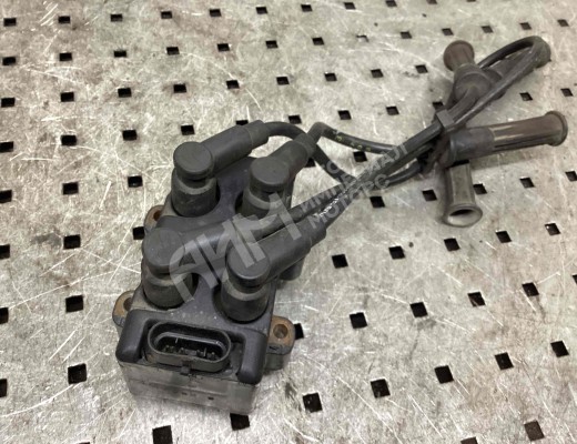 Катушка зажигания Dacia Logan I (LS/KS) 2004-2012  Dacia Logan Logan I (LS/KS) 2004-2012