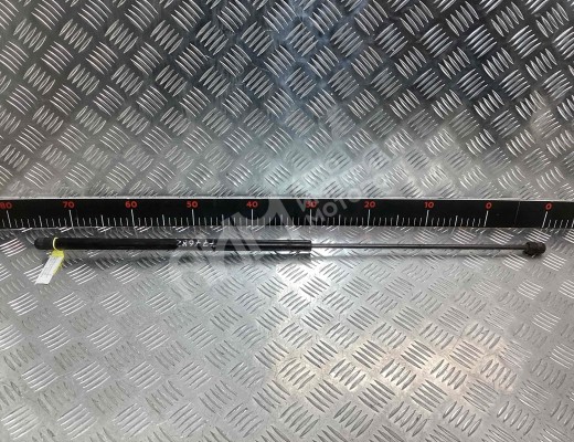 Амортизатор капота MAN TGS I 2007-2020  MAN TGS TGS I 2007-2020