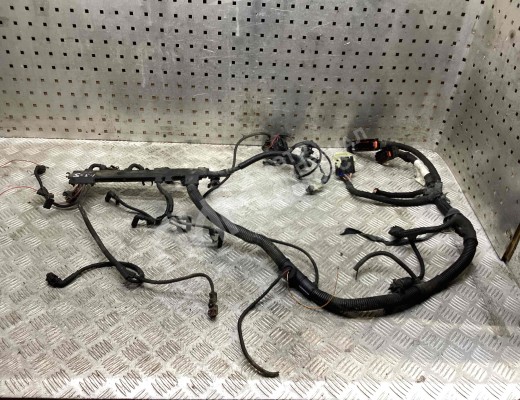 Проводка двигателя Fiat Ducato 1994-2006  Fiat Ducato Ducato 1994-2006