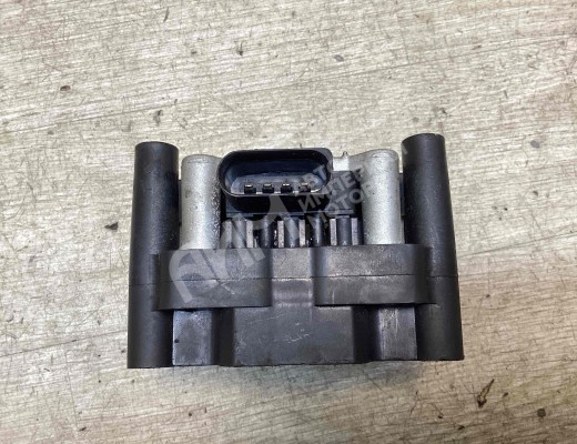 Катушка зажигания Volkswagen Passat B5+ (3B) 2000-2005 рестайлинг  Volkswagen Passat Passat B5+ (3B) 2000-2005 рестайлинг