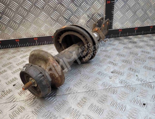 Амортизатор передний Renault Kangoo I 2003-2007 рестайлинг  Renault Kangoo Kangoo I 2003-2007 рестайлинг
