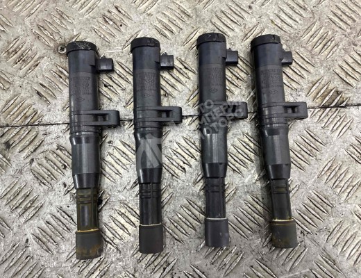 Катушка зажигания Renault Scenic II (JM) 2003-2006  Renault Scenic Scenic II (JM) 2003-2006