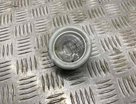 Фонарь салона (плафон) Iveco Stralis I 2002-2012  Iveco Stralis Stralis I 2002-2012