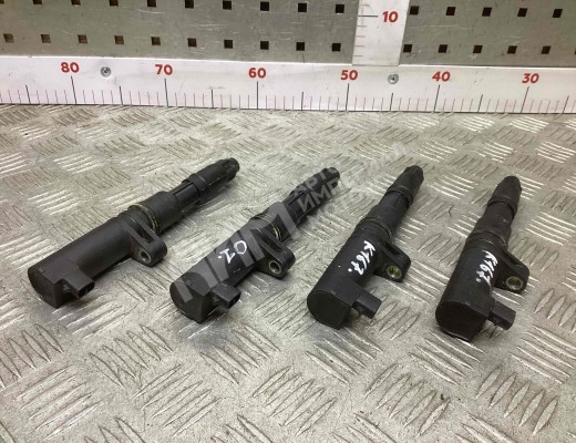 Катушка зажигания Renault Laguna II (X74) 2001-2005  Renault Laguna Laguna II (X74) 2001-2005