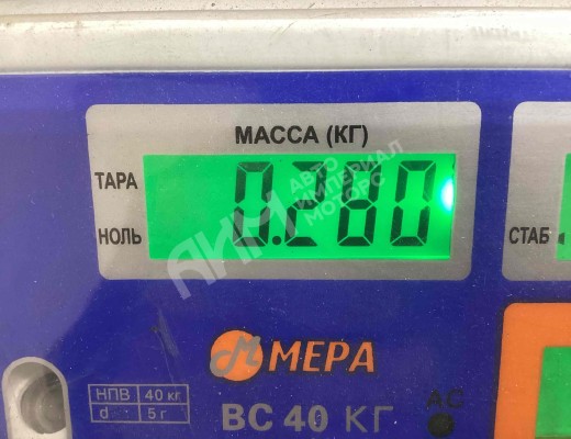 Блок управления пневмоподвеской MAN TGL I 2005-2020  MAN TGL TGL I 2005-2020